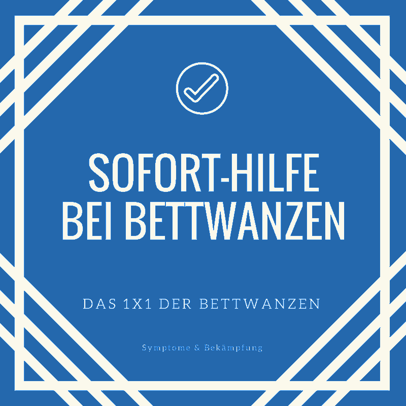 Sofort-Hilfe bei Bettwanzen